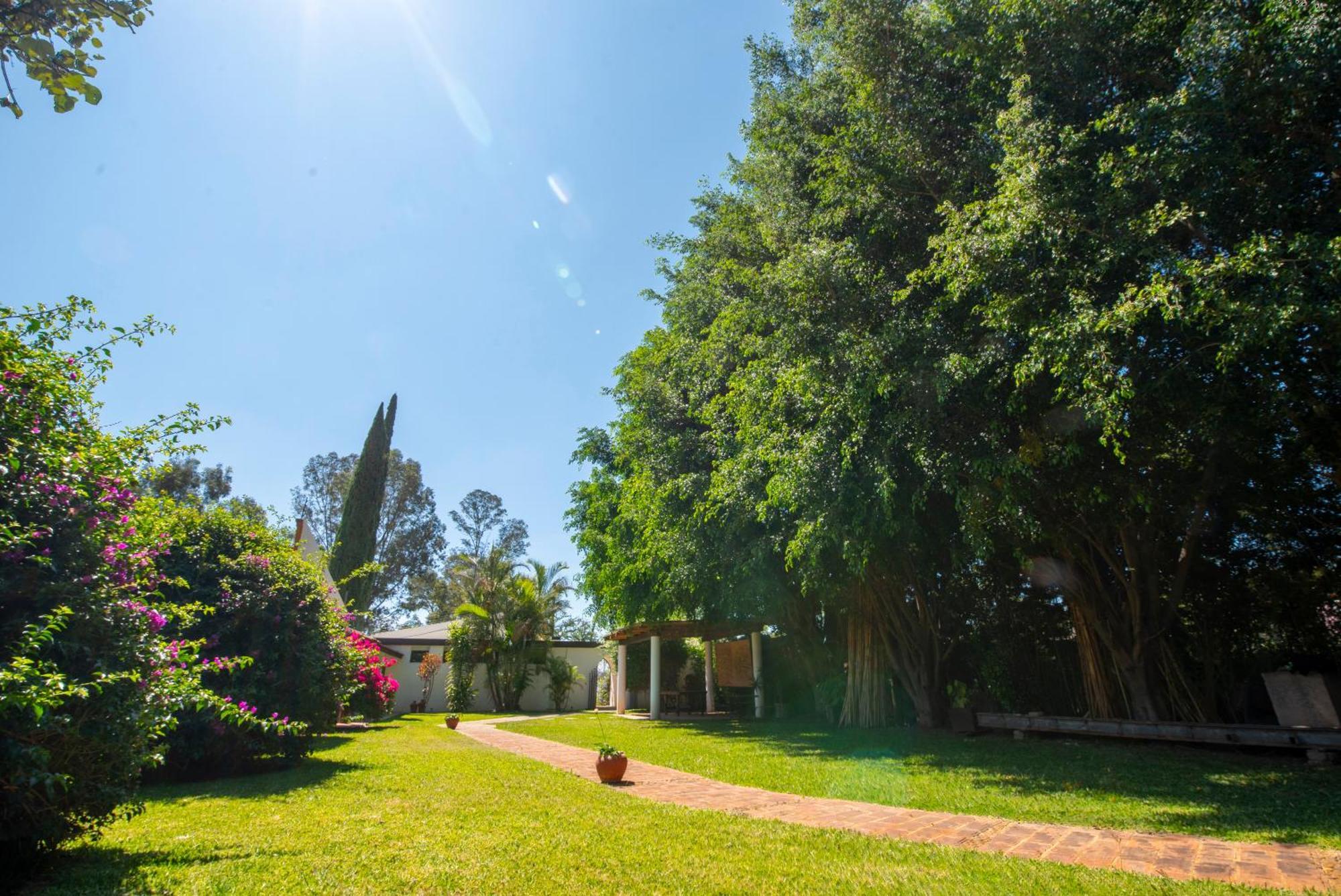 Villa Borghese Hotel Boutique - Adults Only Oaxaca Exterior photo