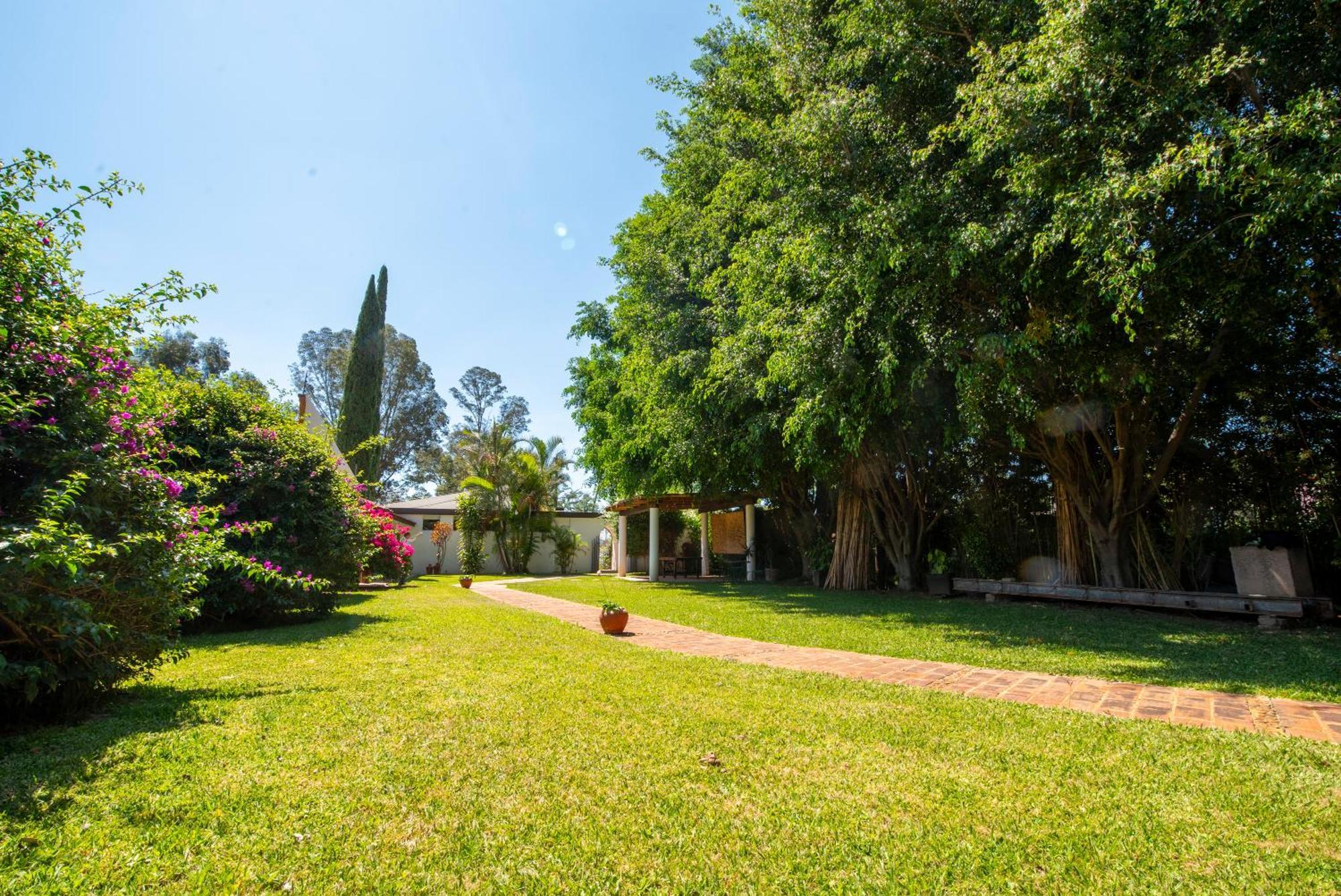 Villa Borghese Hotel Boutique - Adults Only Oaxaca Exterior photo